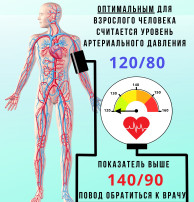 Артериальное давление под контролем! Артериальное давление под контролем!.