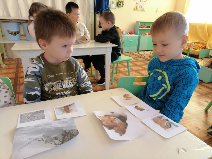 Неделя "Животные осенью" Неделя "Животные осенью".